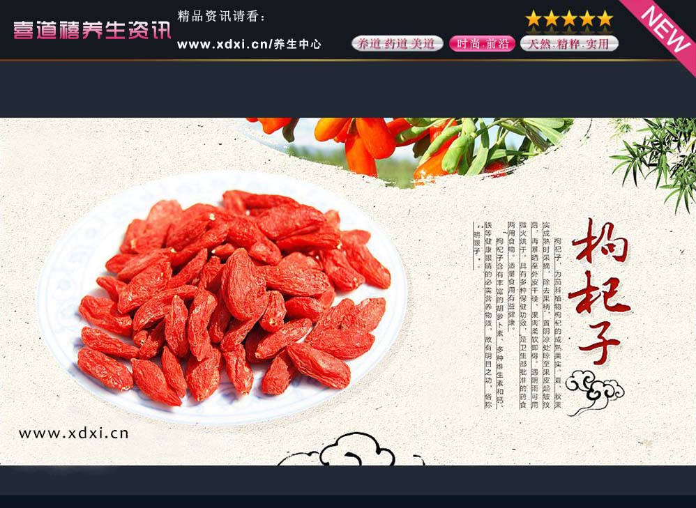  數(shù)字特刊 ㈠期